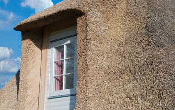 Spunhill thatch roof disadvantages